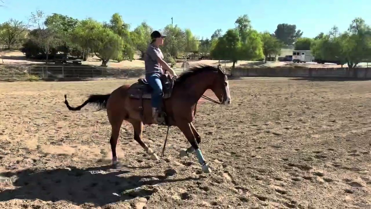 Arabella Clark NCEA Recruitment: Spins and Circles