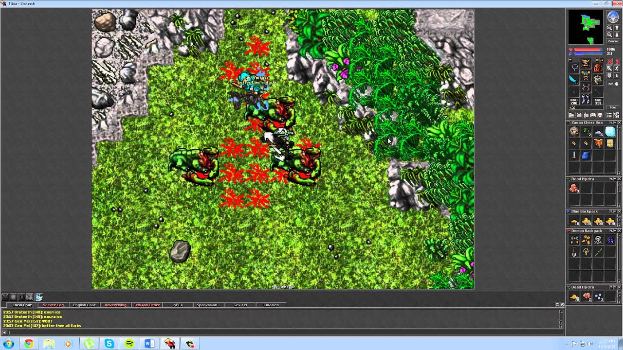 Tibia - Broteeth Ankrahmun Hydras