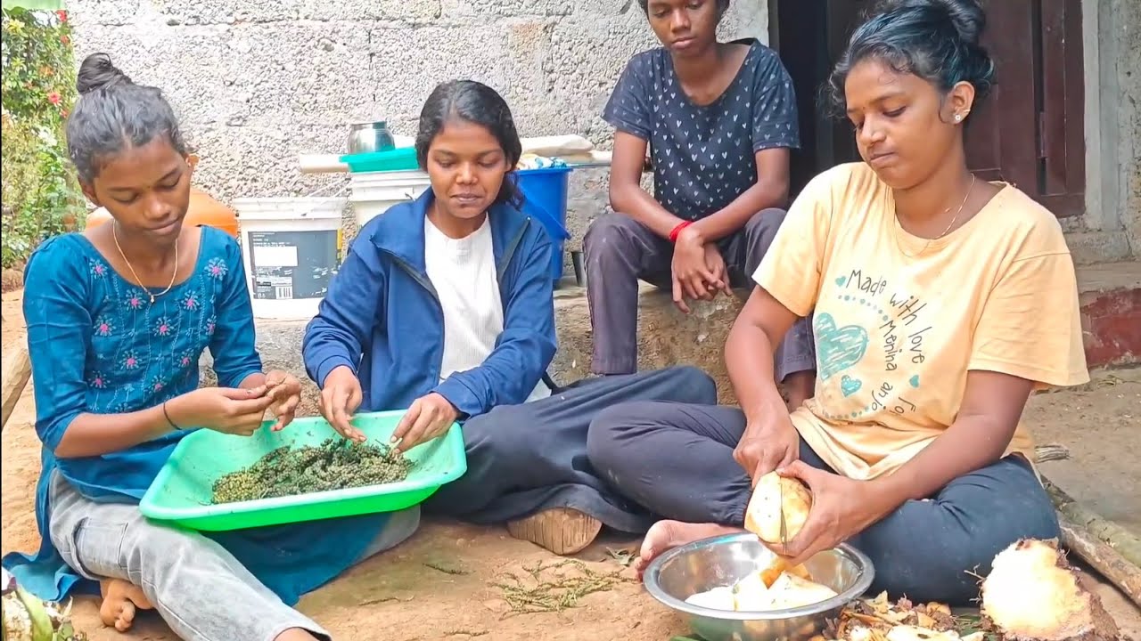  തനി നാടൻ vlog🌱|malayalam video |COUSINS vlog video |❤️