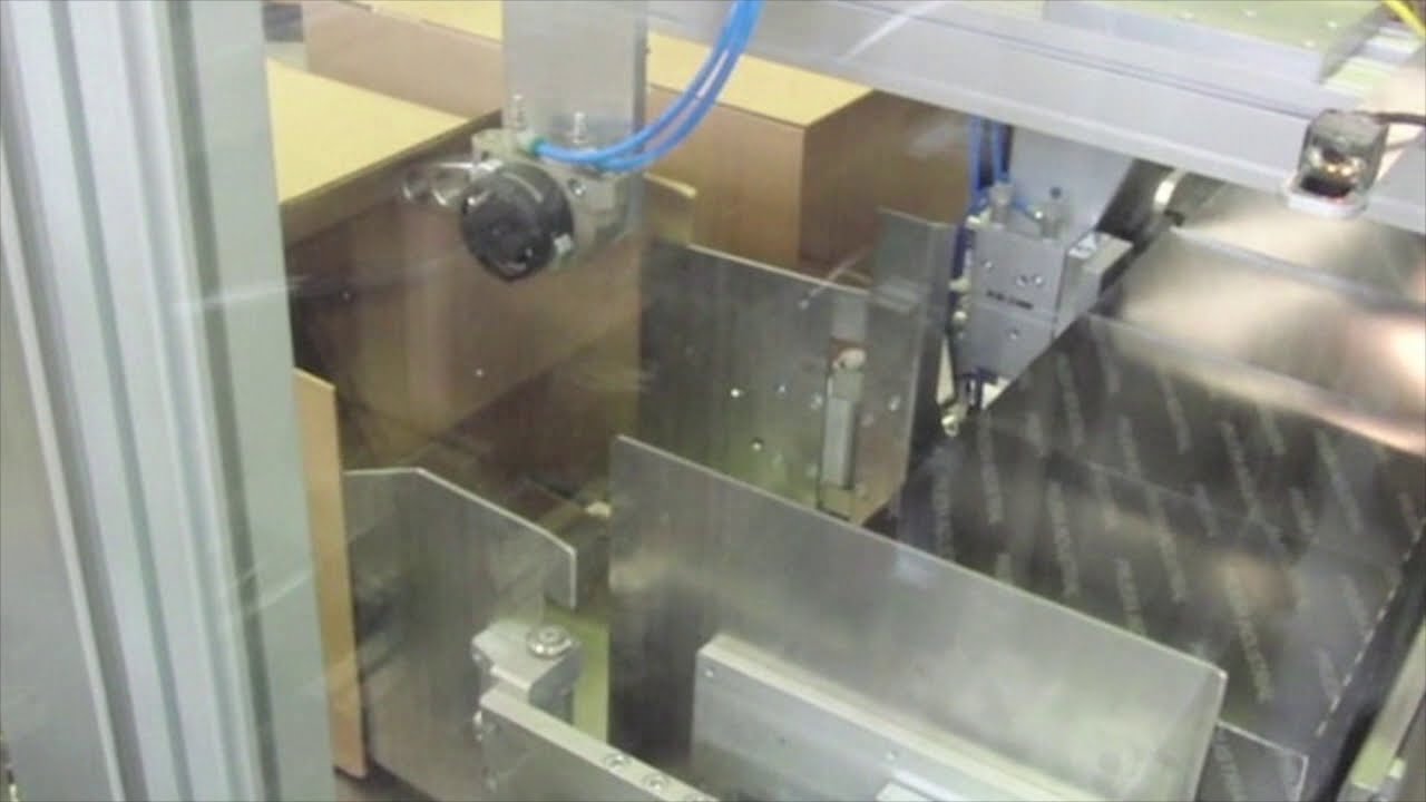 Vertical Bagger & Weigher for Cereals with Cartoner & Case Packer