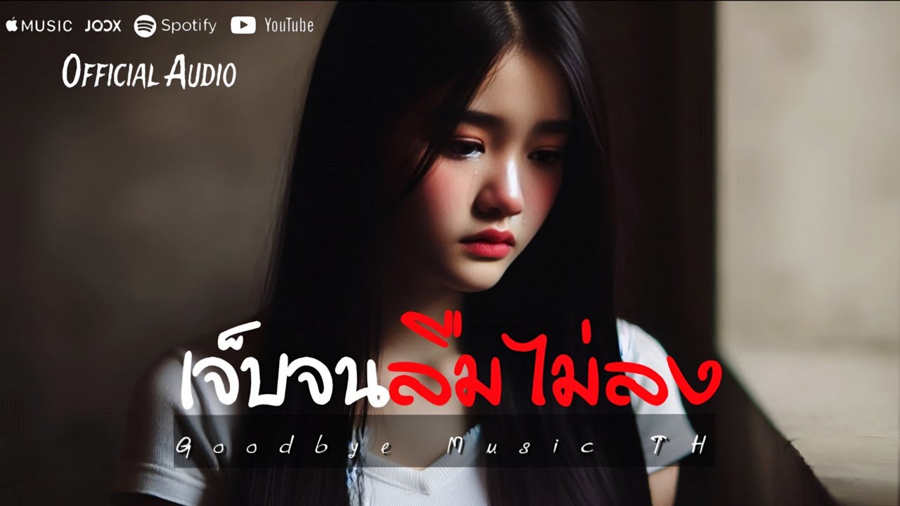 เจ็บจนลืมไม่ลง - Goodbye Music TH | Official Audio