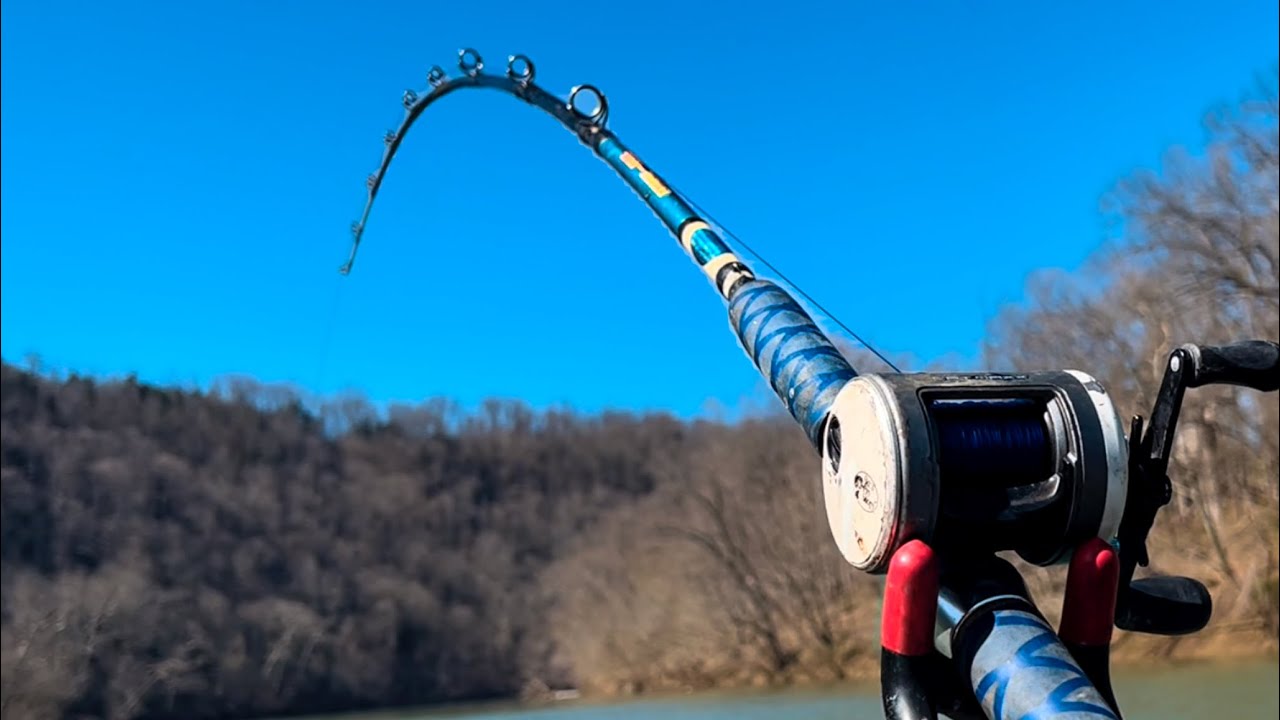 Huge Fish live In This Small Remote River | Big Fish Caught!
