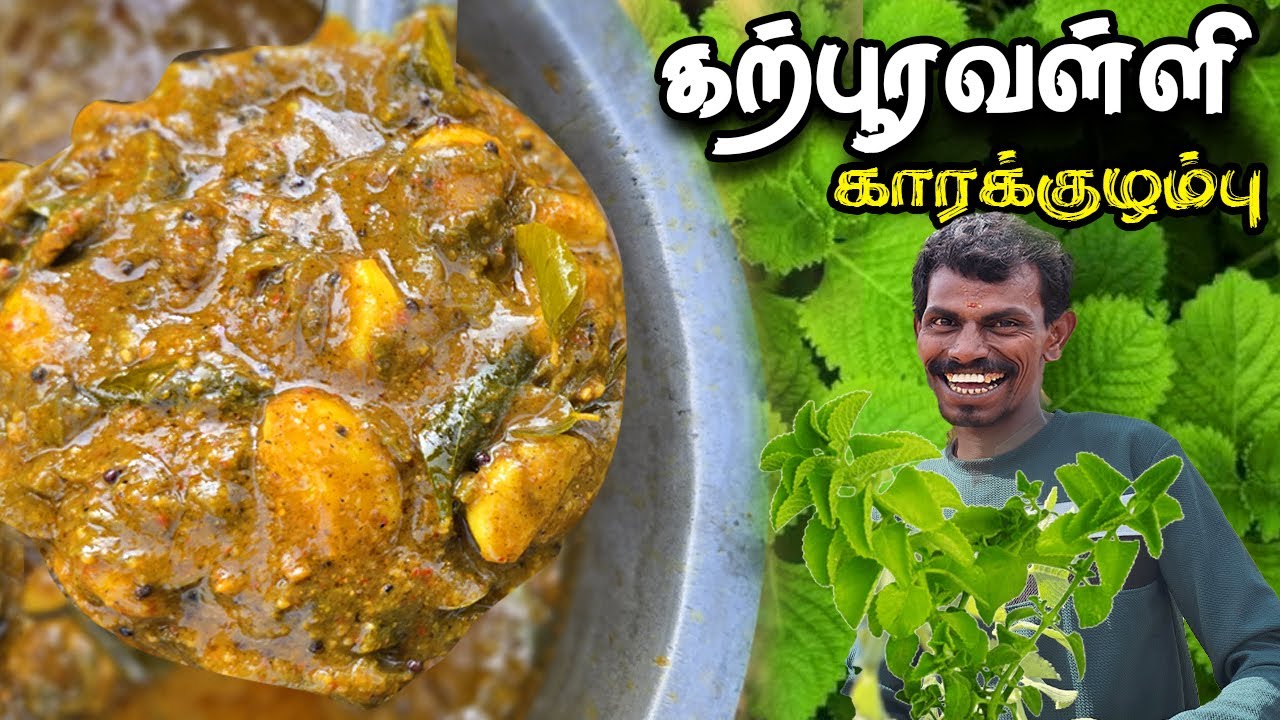 கற்பூரவள்ளி காரக்குழம்பு 💥 - சளி இருமலை 🤧விரட்டும் மருத்துவ குழம்பு |  Karpooravalli Kara Kuzhambu