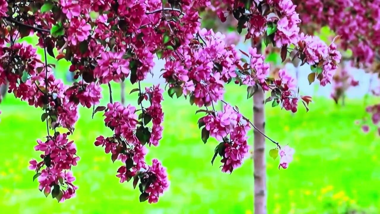 145 - Con đường đến địa ngục