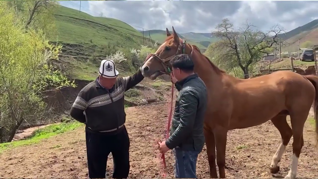 Саяпкерлер байырлаган Түшүнүк айылы...