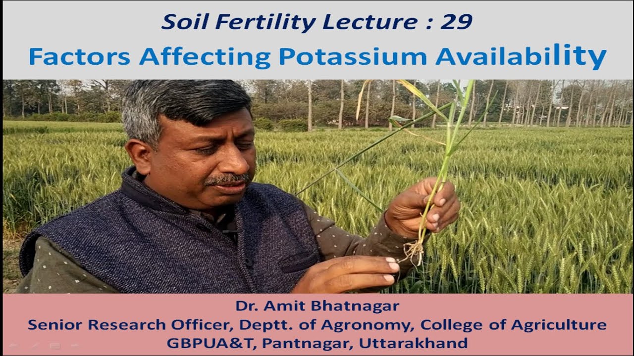 Factors Affecting Potassium Availability