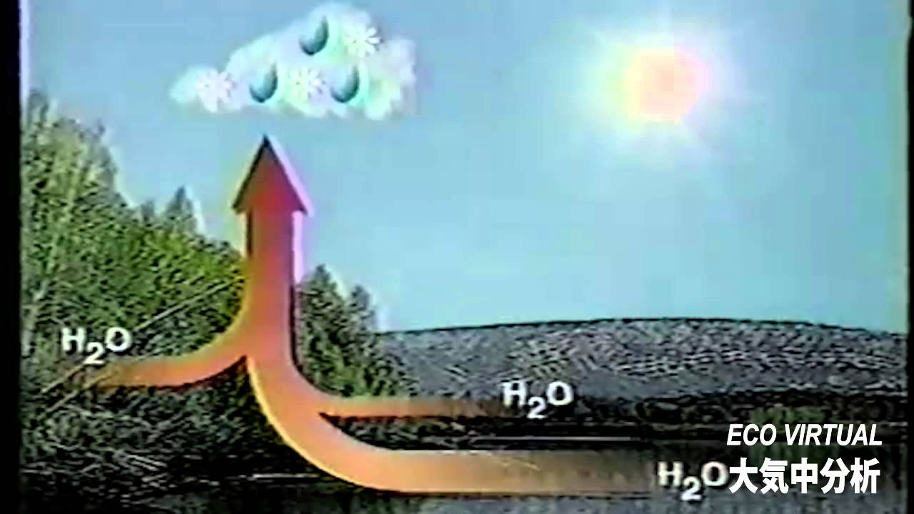 Eco Virtual - Acid Rain