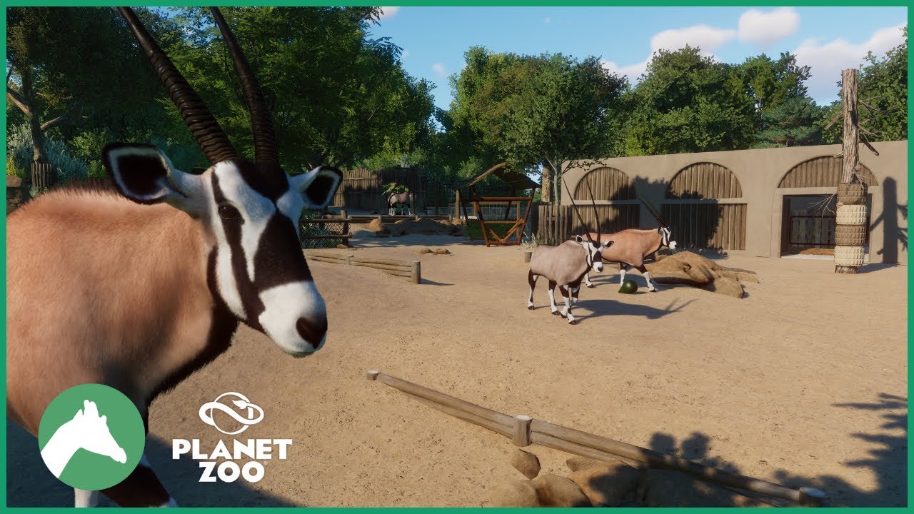 Gemsbok Habitat | Desert House | Elm Hill City Zoo | Planet Zoo