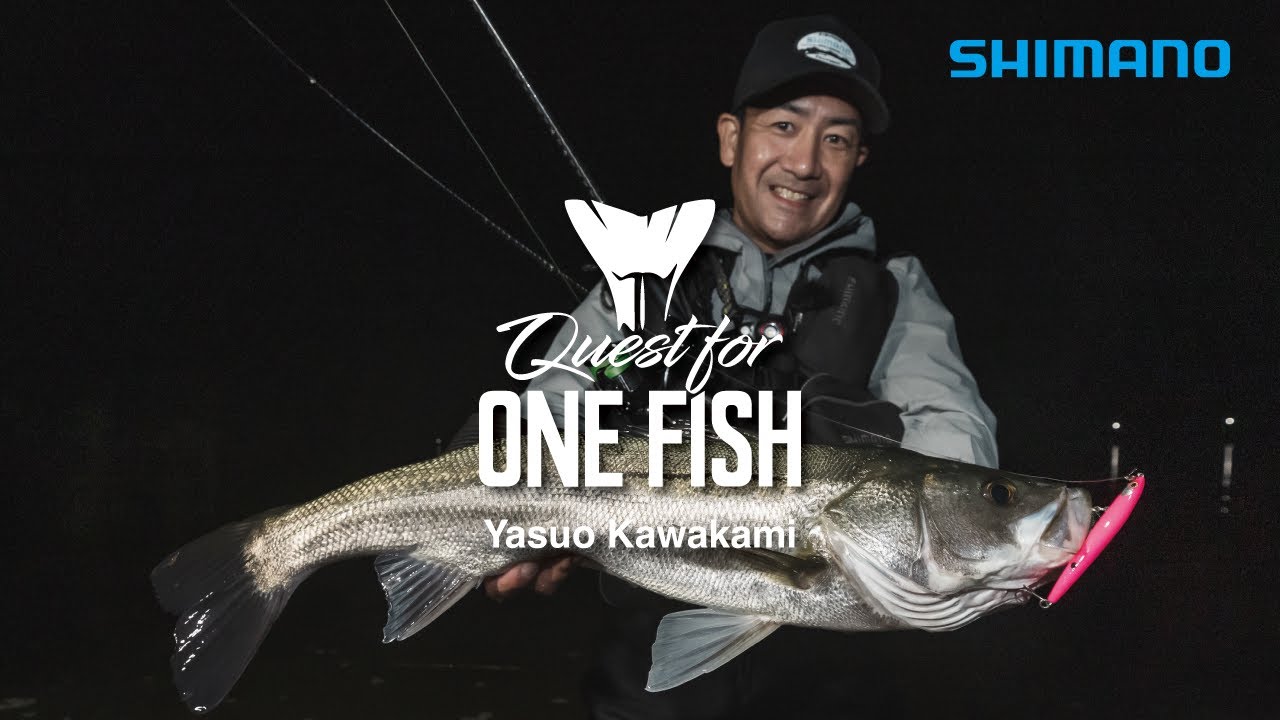 Quest for ONE FISH / バチパターンでシーバスを追う川上靖雄の&ldquo;リアルシーバス&rdquo;