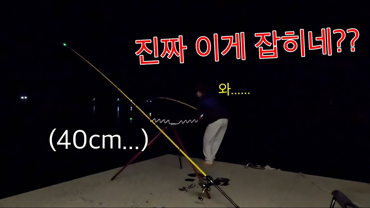 아무도 없는 방파제에서의 밤낚시. 설마 잡힐까 했는데 대물이 잡혔다!