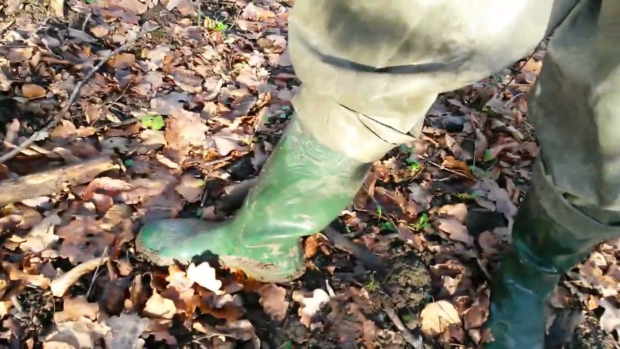 230113 green Hunters walking forest sunny day #01