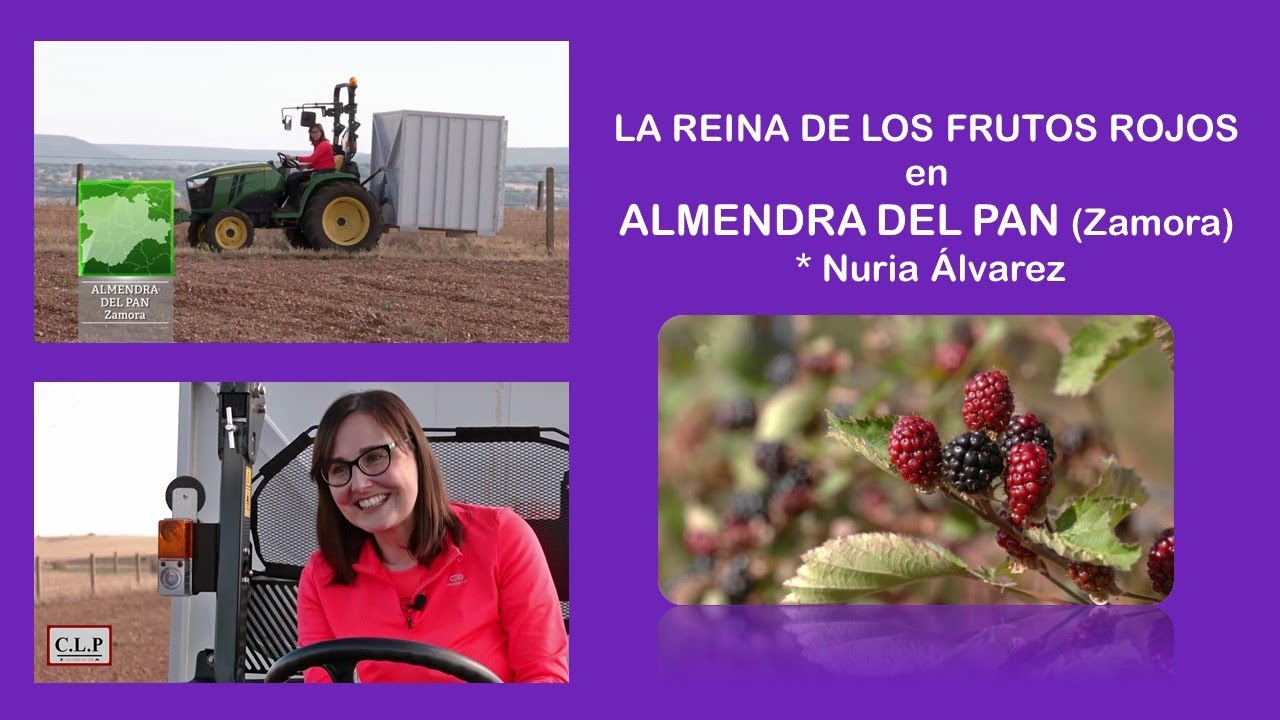 Nuria Álvarez desde Almendra del Pan (Zamora). Paraíso de los frutos rojos, repor tv