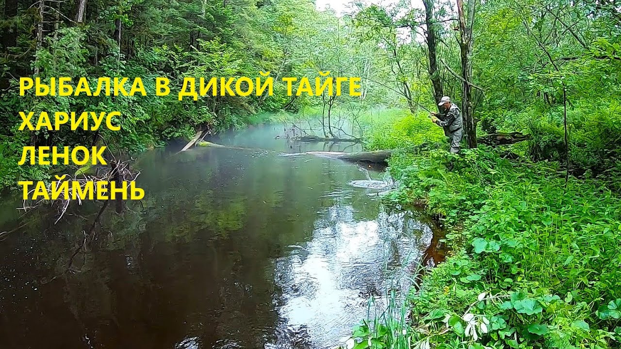 РЫБАЛКА В ГЛУХОЙ ТАЙГЕ ! Охота за ленком, хариусом и тайменем