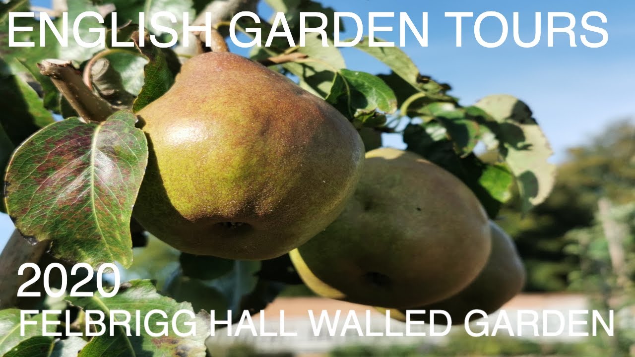 ENGLISH GARDEN TOURS Felbrigg Hall Walled Gardens