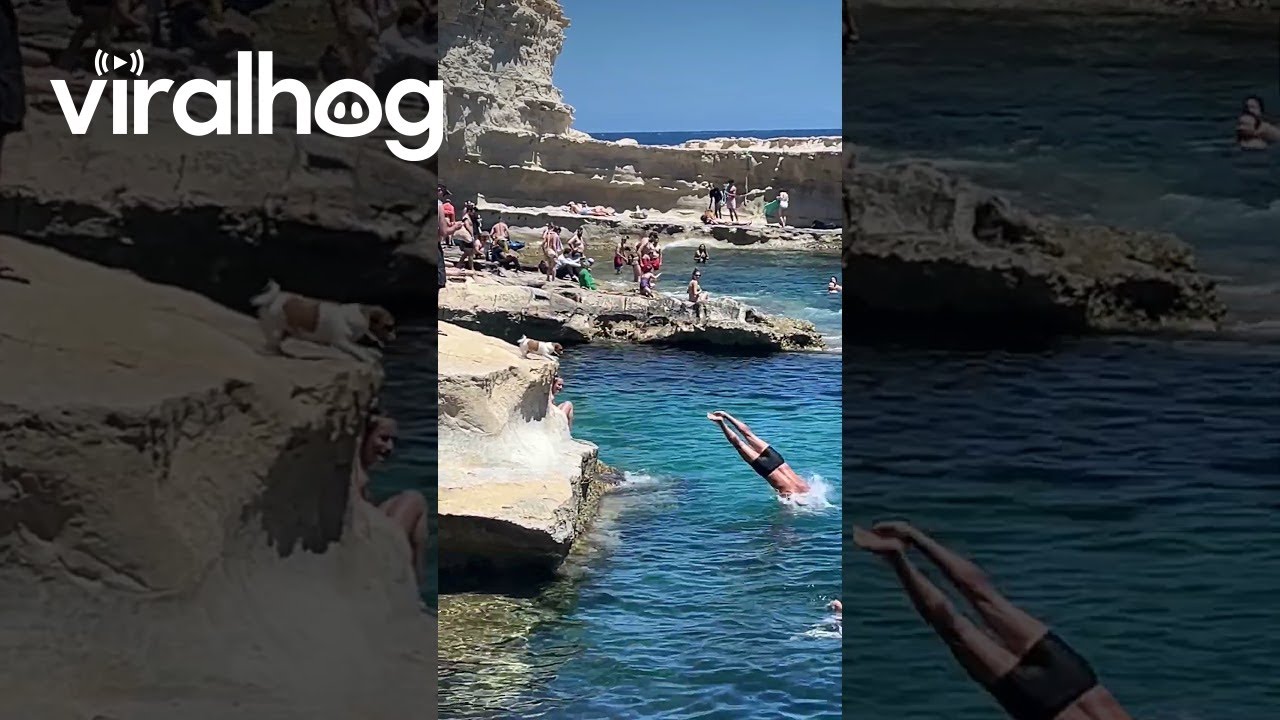 Dog Jumps To Swimming Owner's Arms || ViralHog