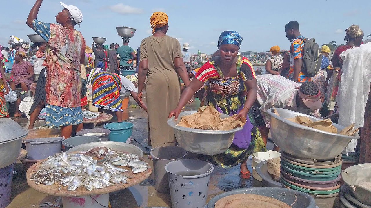 FRESH FISH MARKET IN GHANA ELMINA