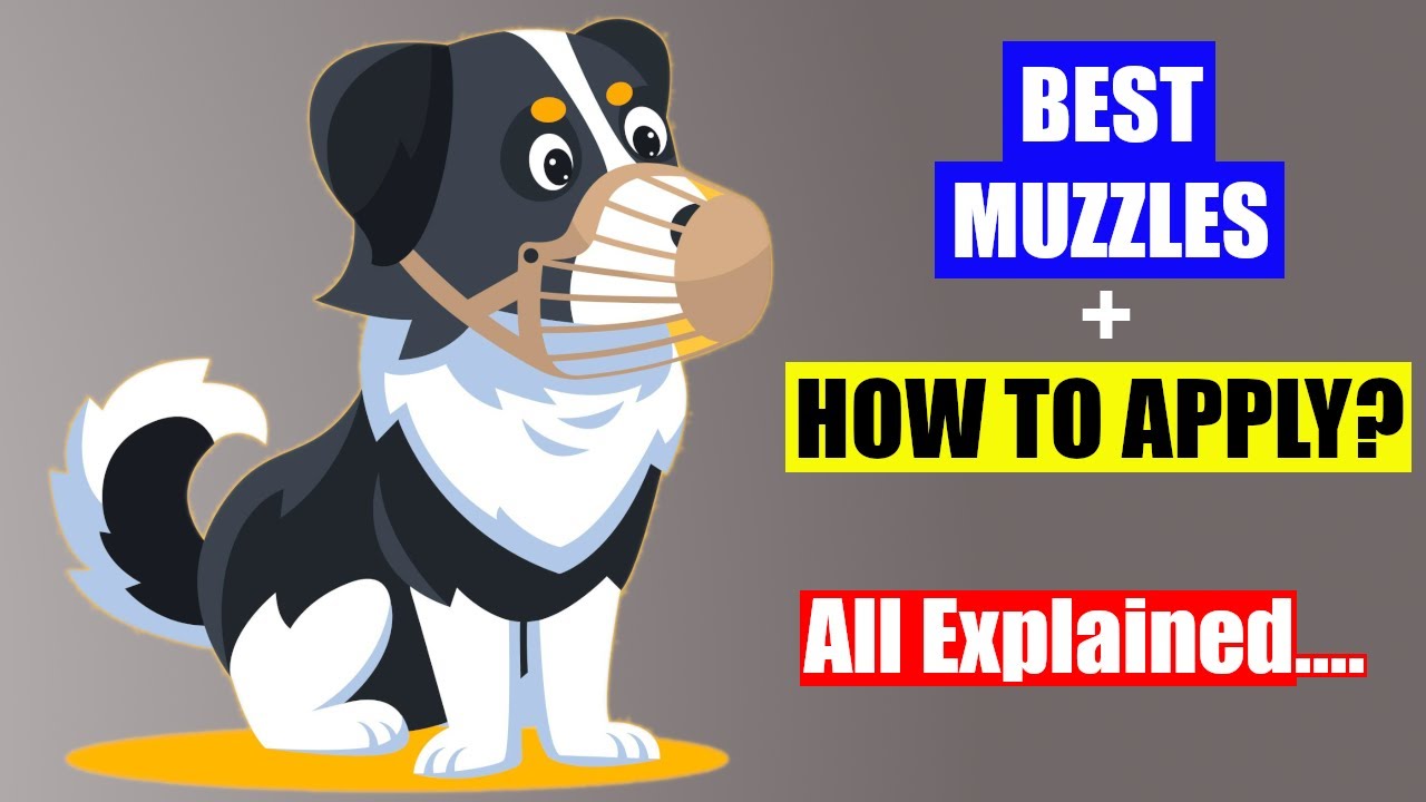 The Shocking Truth About Choosing the Right Muzzle for Your Dog