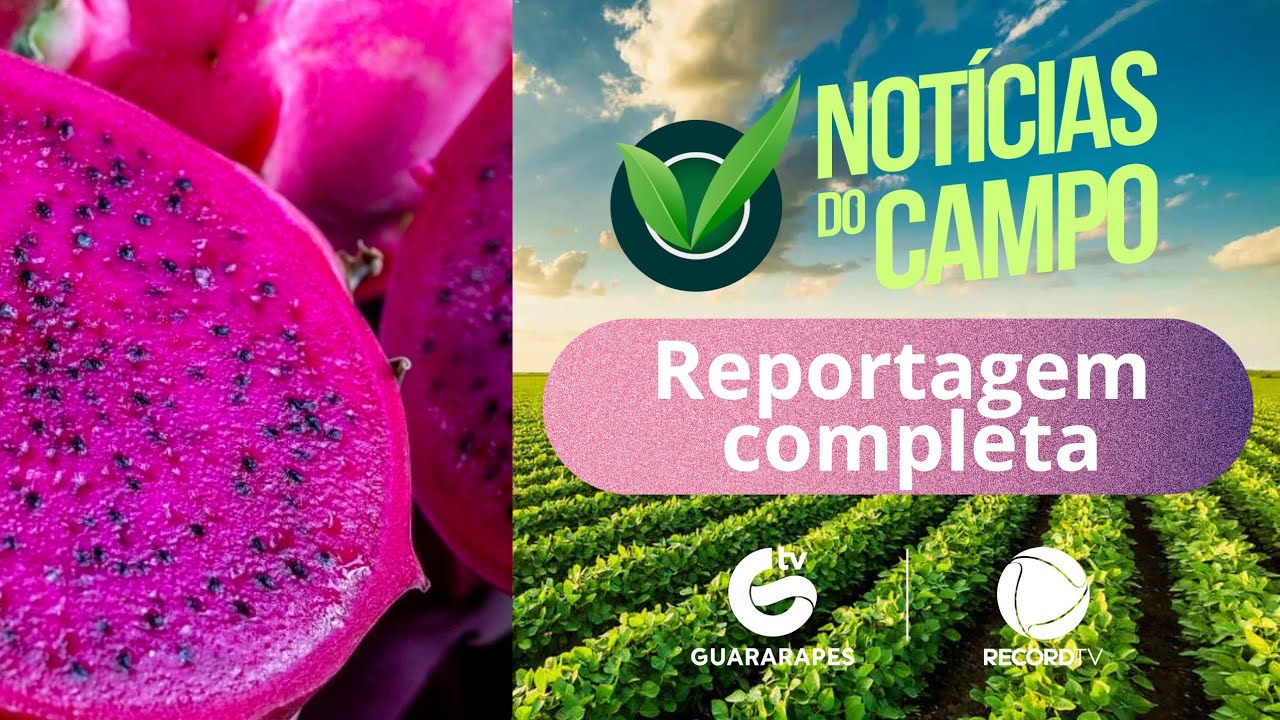 PITAYA VARIEDADES DF PGM NOTÍCIAS DO CAMPO TV GUARARAPES RECORD N169