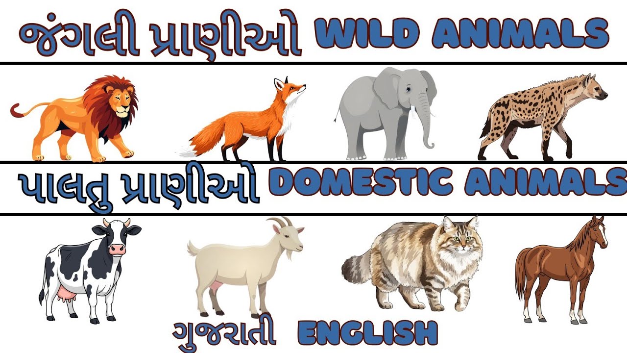 Pranio | પ્રાણીઓ | Animals | જંગલી અને પાલતુ પ્રાણીઓ | Wild and Domestic Animals