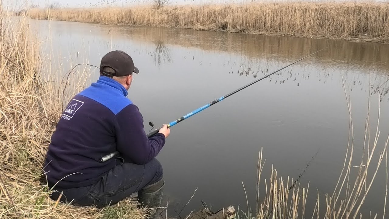 Z bolonką na rzece