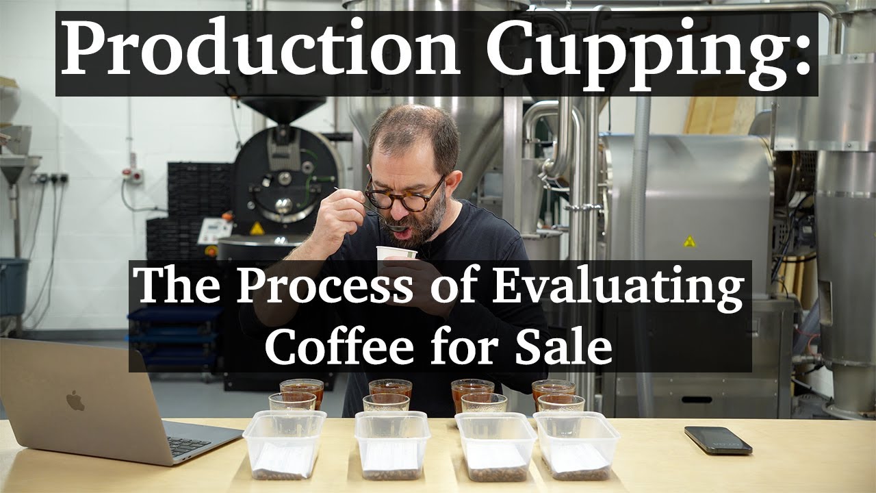Production Cupping: The Process of Evaluating Coffee for Sale
