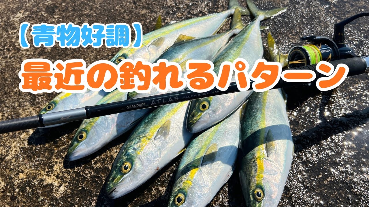 【富山青物】ヒットパターン攻略で爆釣‼️これが入れ食いか⁉️