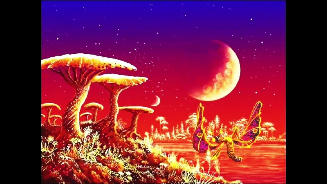 Supertrap type beat ~ fungi