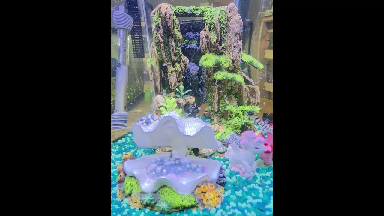 Working On The American Dream