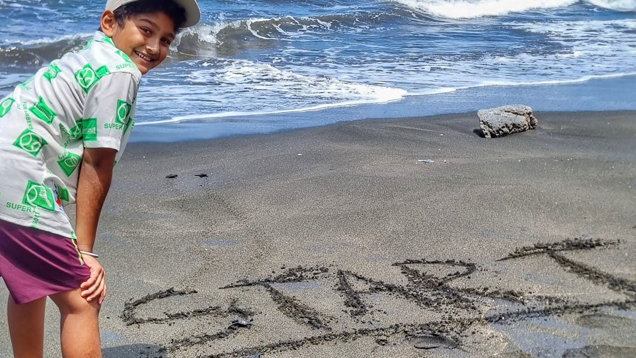 Kurma Asih Turtle Conservation Bali #turtleconservation #bali #turtle