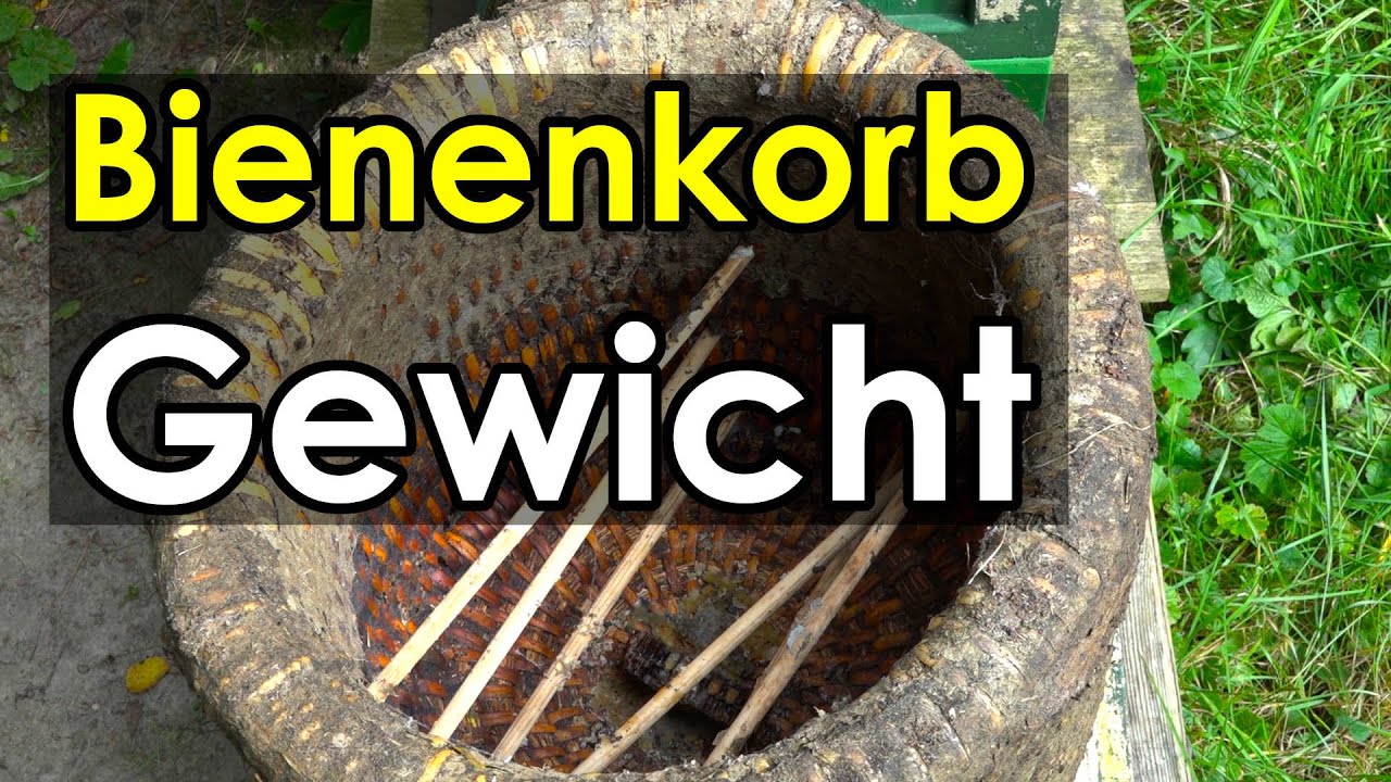 Wie viel wiegt ein Bienenkorb? Einf&uuml;tterungs-Zielgewicht L&uuml;neburger St&uuml;lper Korbimkerei Heideimkerei