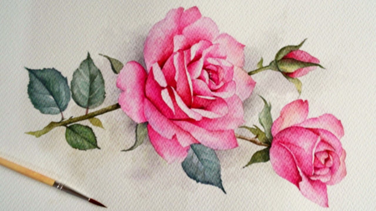 Beautiful Rose Watercolor Painting | Watercolor Illustration