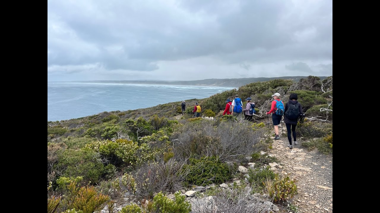 Aussie Camino: The Movie  (An Australian Mary MacKillop pilgrimage)