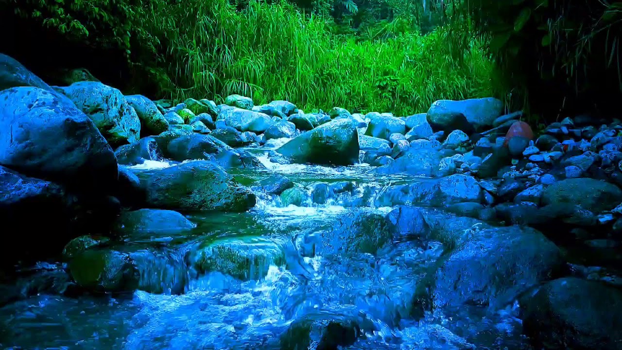 🍃 Gentle Riverside Flow ASMR Sounds for Deep Sleep, Relaxation & Calm Focus