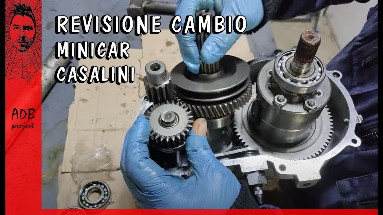 Revisione cambio minicar casalini rumoroso con perdite d`olio