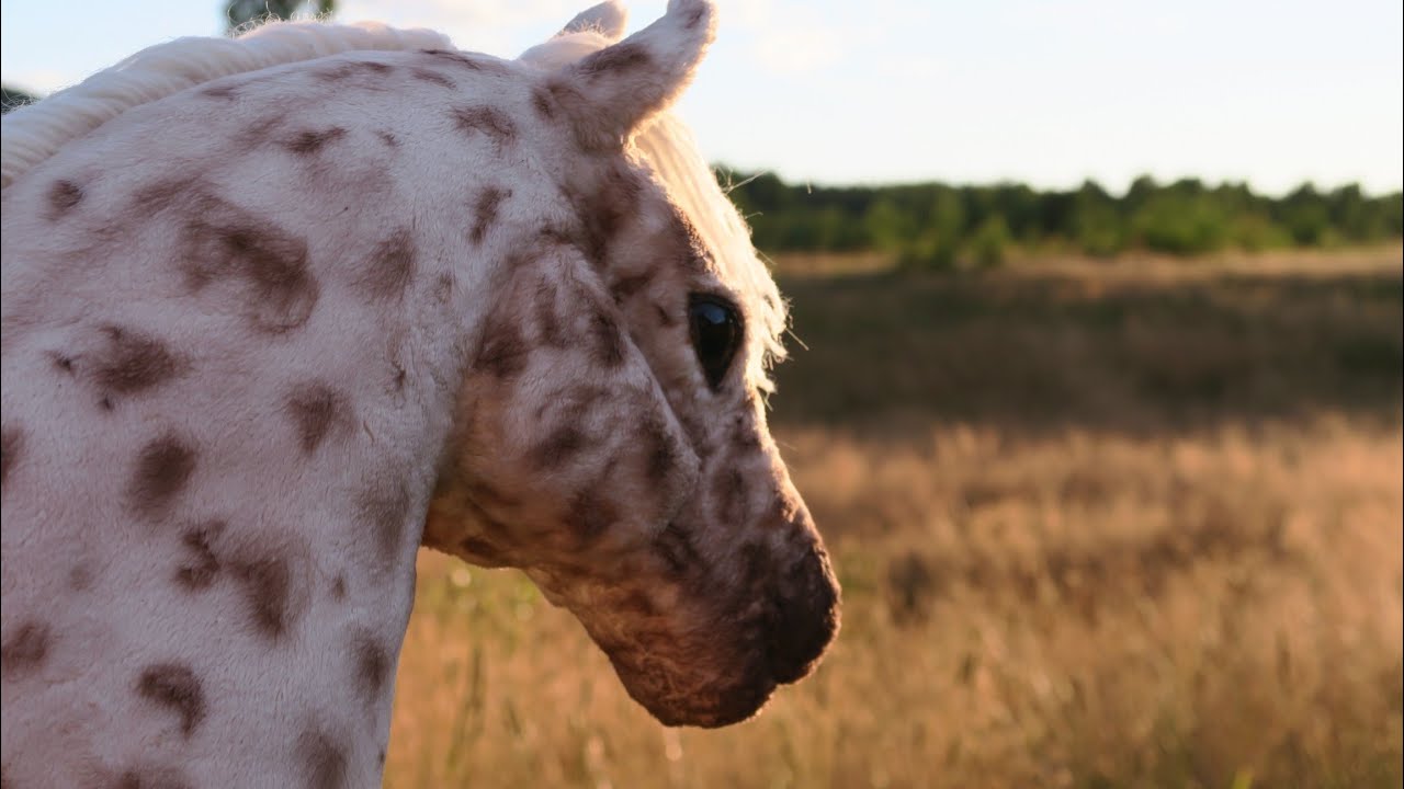 The making of a realistic hobbyhorse