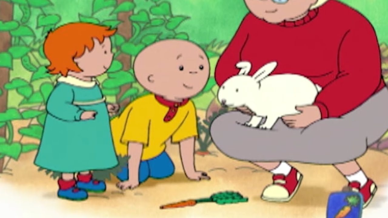 Caillou e le carote Scomparse | Caillou Italiano - WildBrain