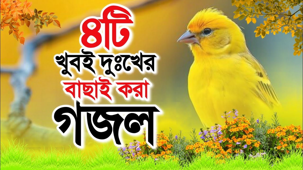খুবই দুঃখের মায়াবী সুরে ৪টি পরকালের গজল | new gojol | gojol | bangla gojol | gojal | গজল | ghazal