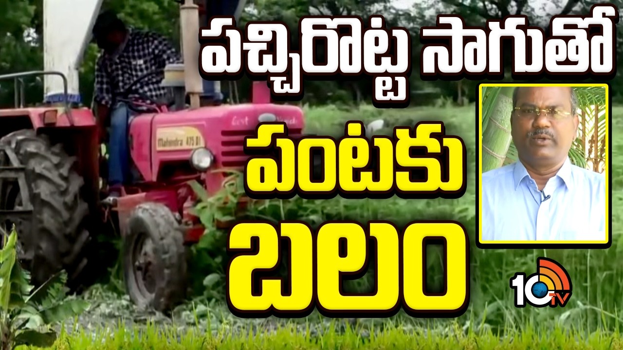 Green Manure Cultivation | పచ్చిరొట్ట సాగుతో పంటకు బలం | Boosting Crop Yield | Matti Manishi | 10TV