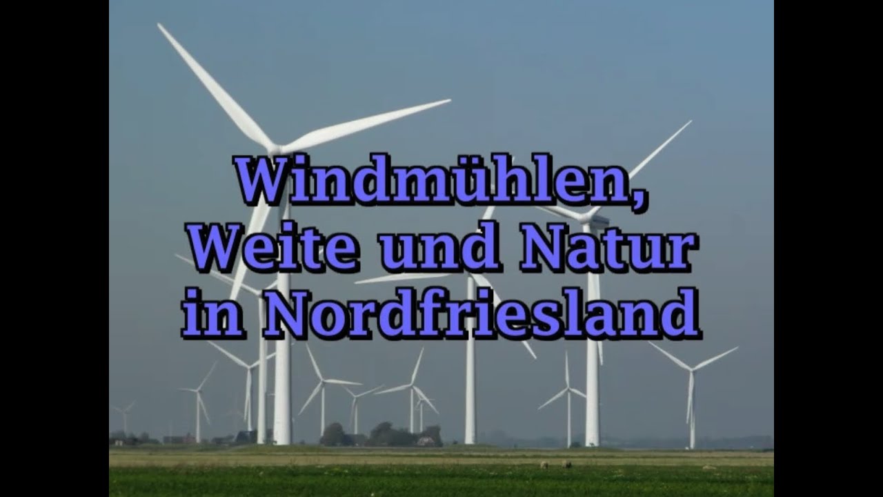 Windmühlen, Wattenmeer und Natur, auf nach Nordfriesland in Schleswig-Holstein