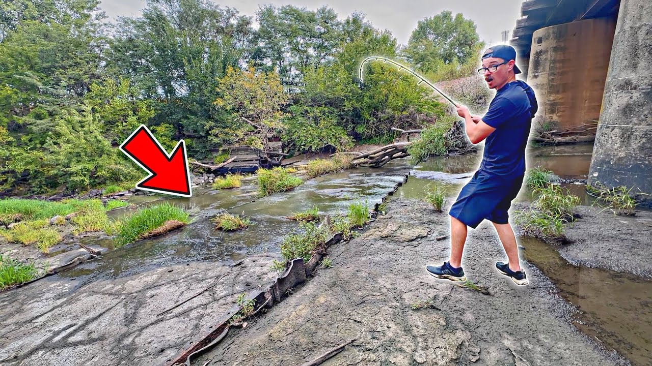 Fish Are TRAPPED In These CONCRETE POOLS!!! (Loaded)