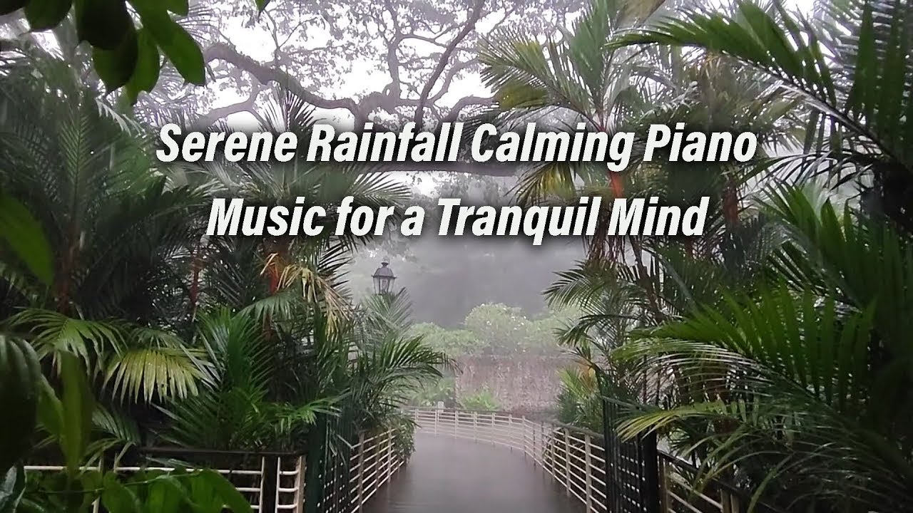 Serene Rainfall: Calming Piano Music for a Tranquil Mind