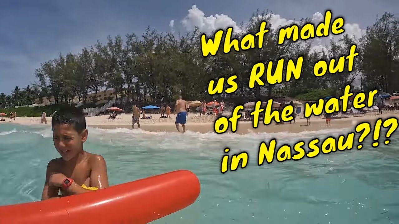 Нападение в Нассау | Пляж Кэббидж | ВНИМАНИЕ!! | День 4, лайнер Royal Caribbean Oasis of the Seas