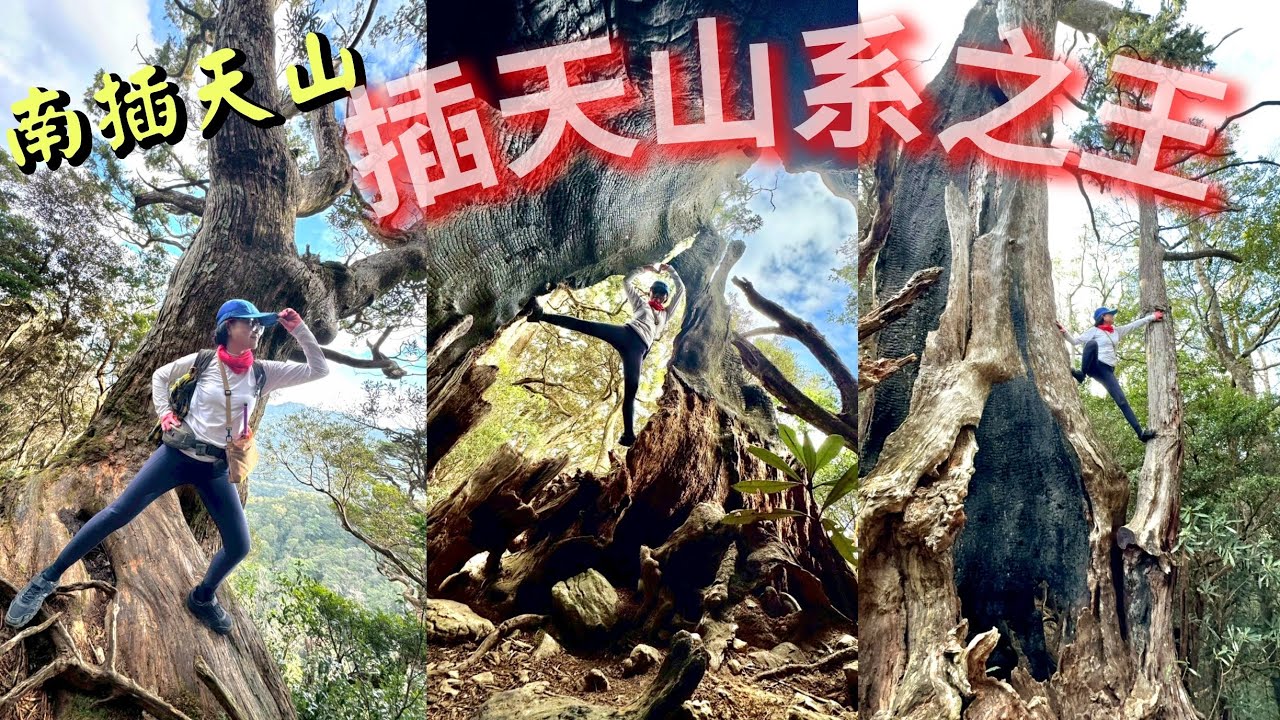 【南插天山】祂不只是插天山之王，更是郊山之王，謝謝怪咖之王的煮刃，帶我到中級郊山的神秘境地｜#怪咖糰 #南插天山 #紀錄片