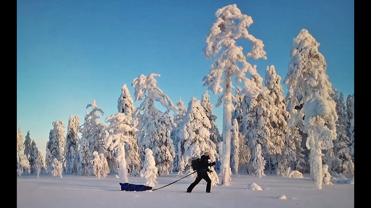 Sallan soilla hiihtelyä