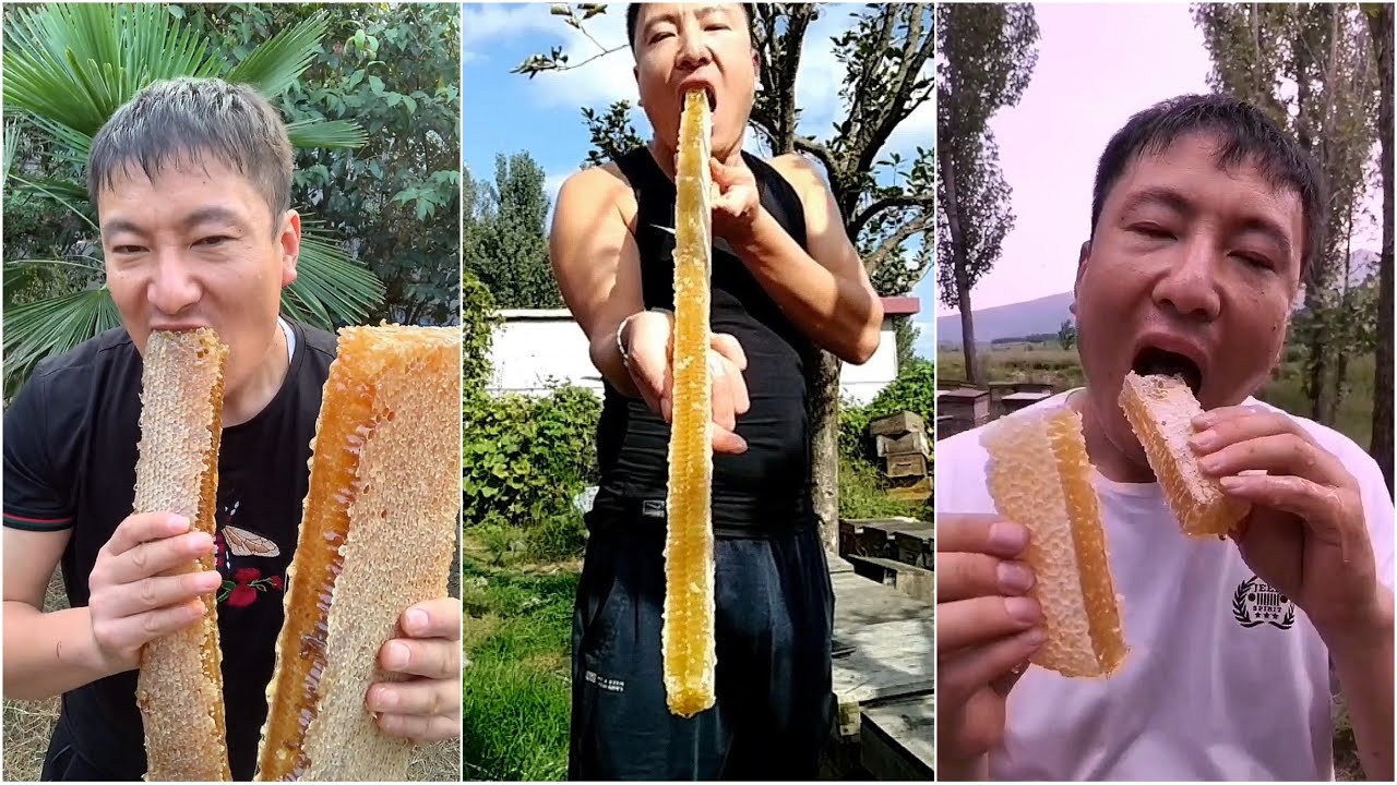 ASMR Honeycomb Eating Sounds 🍯🍯 #13 | Sesli Petek Bal Yeme Videosu | Comendo Mel |أسمر أكل العسل