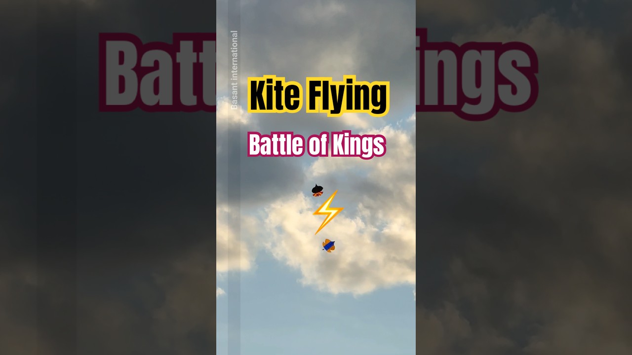 kite flying battles patang bazi Lahore Amritsar Basant kite cutting #lahore  #kiteday #kitefestival