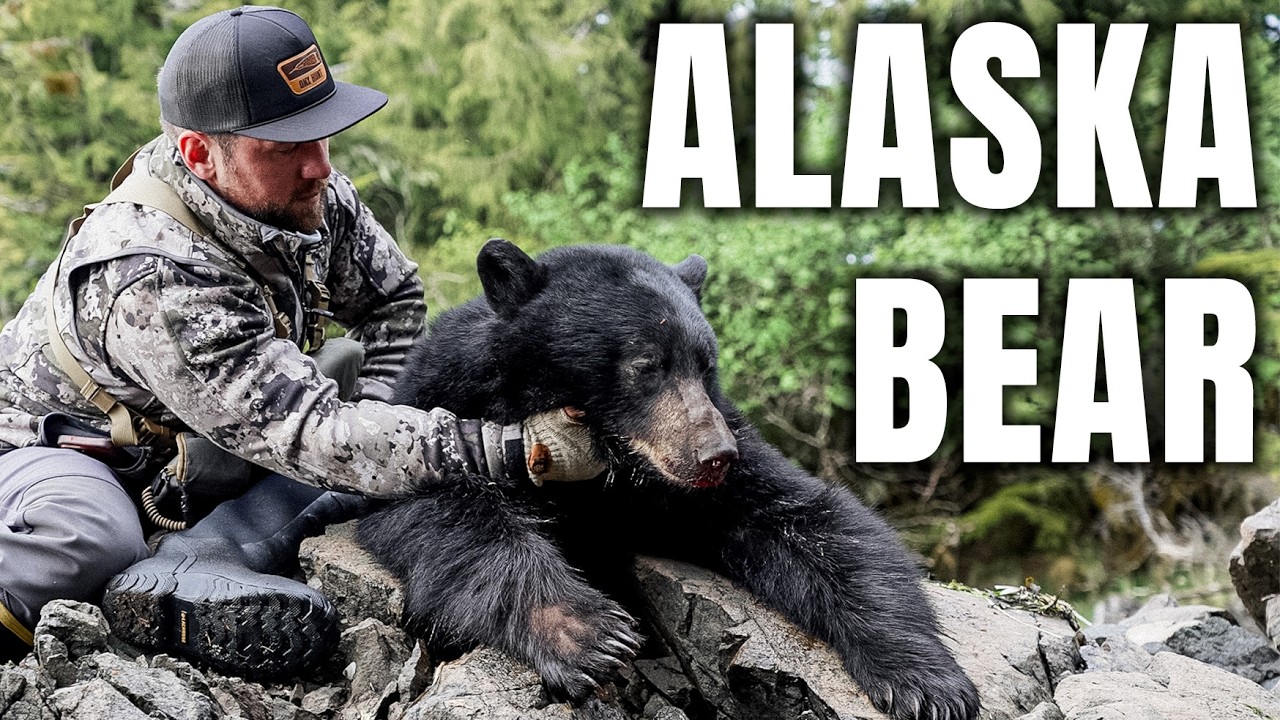 Alaska Black Bear Hunting by BOAT (2 BEARS DOWN)