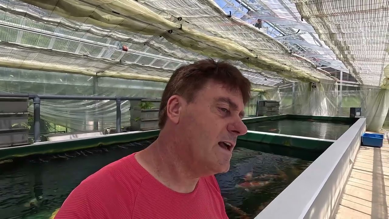 YKJ Fish House 1st August 2023