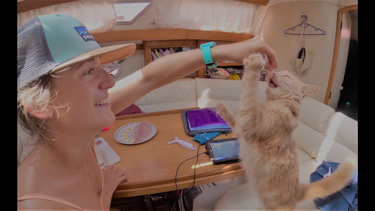 #4 x Etxesailing x Notre traversée Portugal-Canaries en bateau.