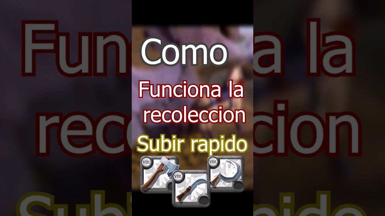 C&oacute;mo Funciona la Recolecci&oacute;n y Como Subir R&aacute;pidamente